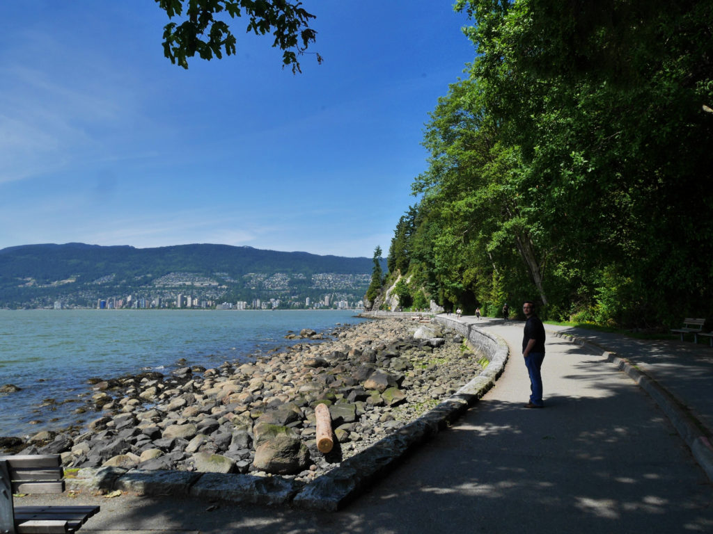 Stanley island view of the North Shore