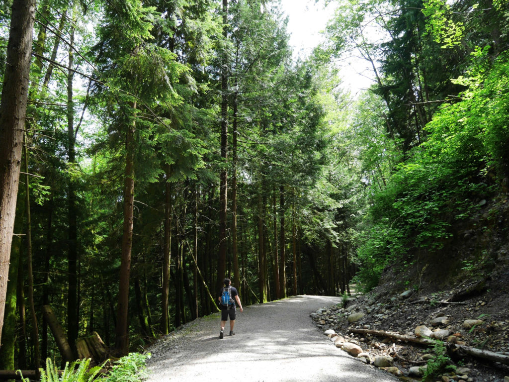 One of the paths near the Cleveland Dam