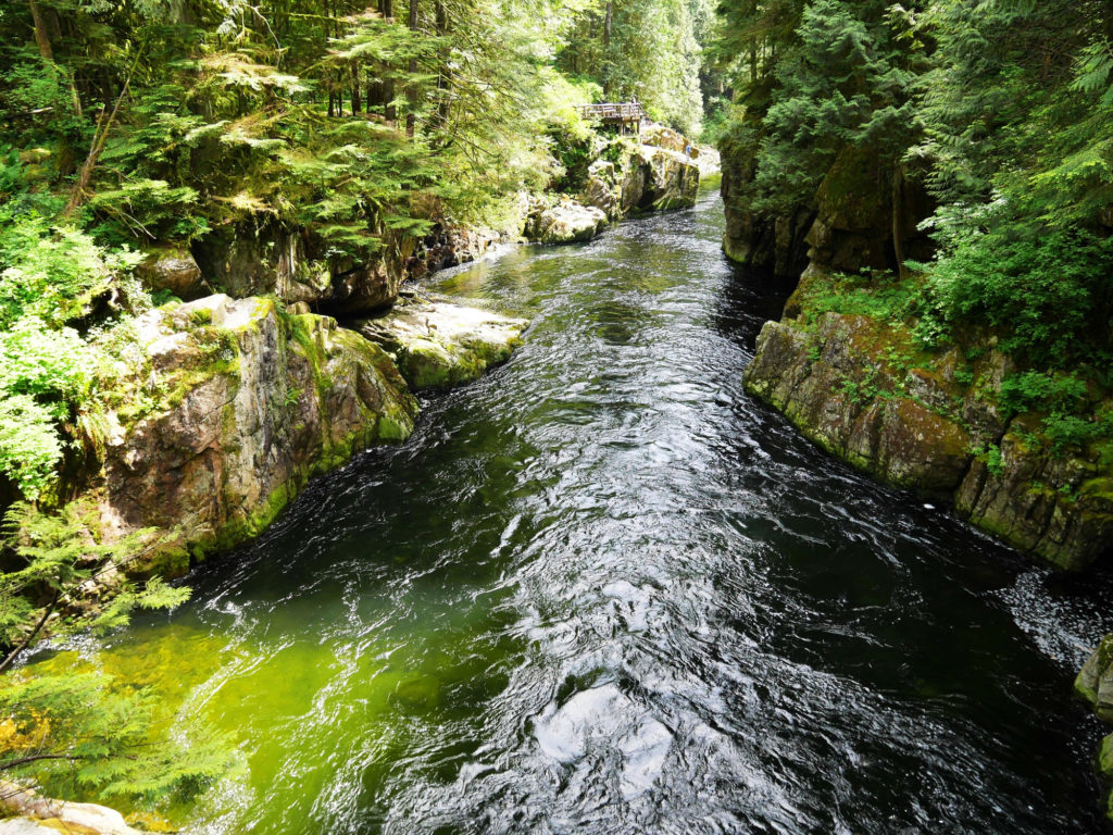 The Capilano river