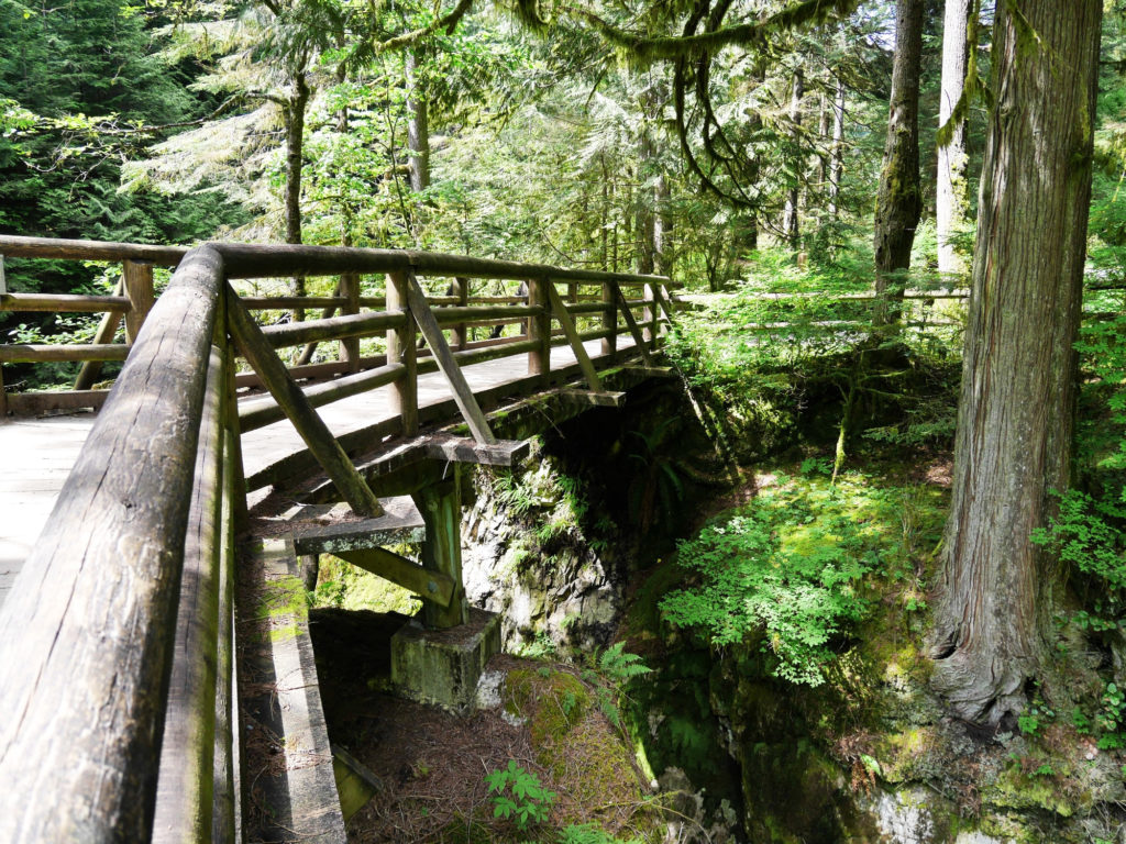 One of the many bridges