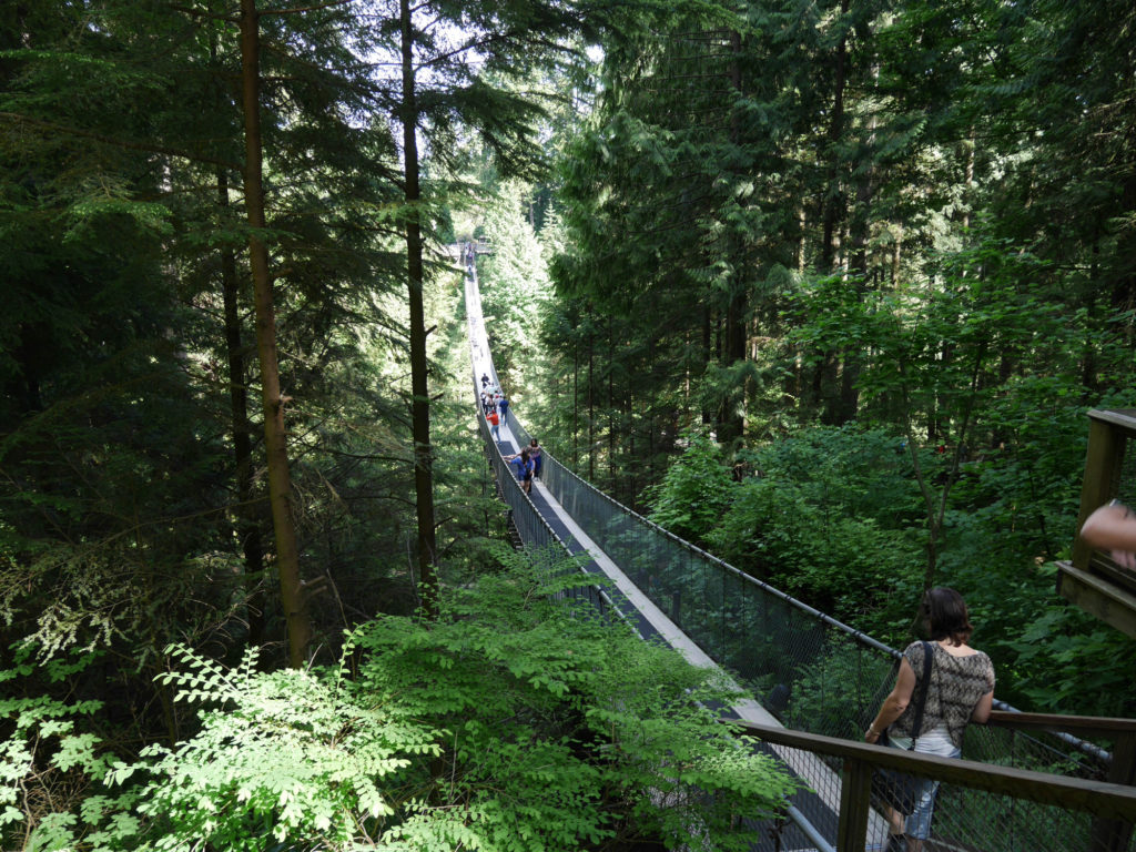 Capilano Suspension bridge