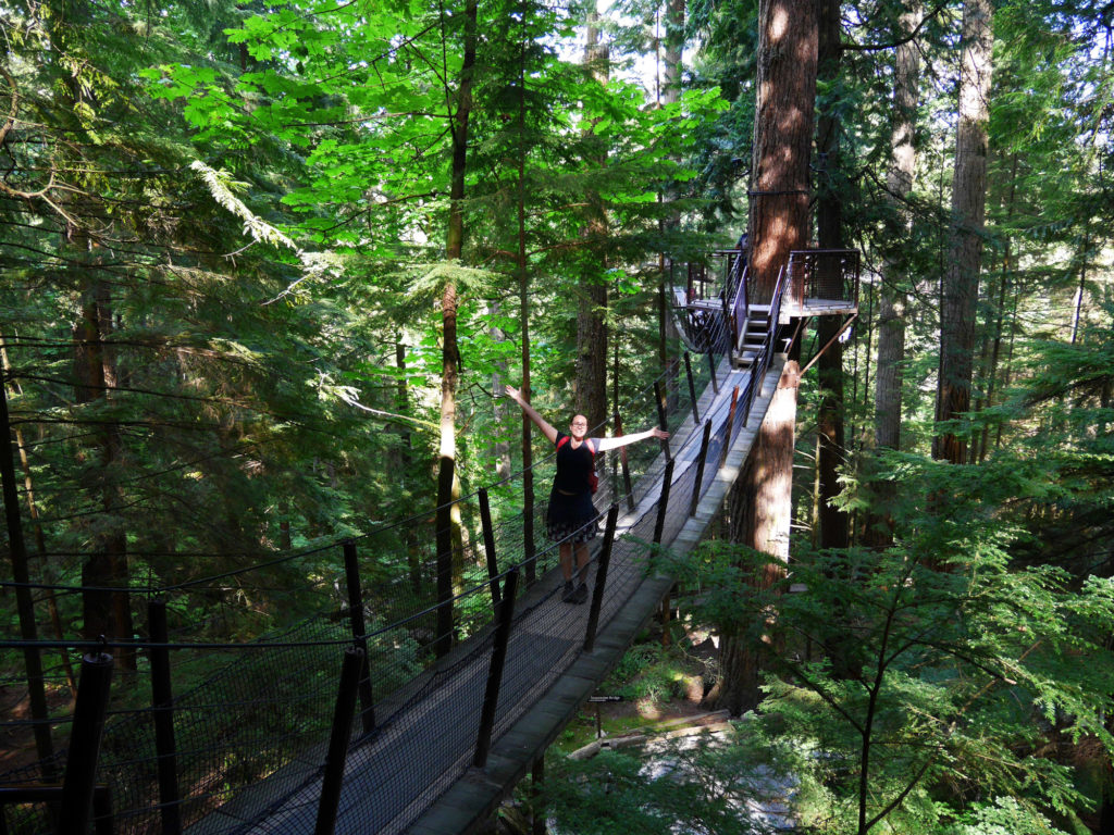 Tree top walk