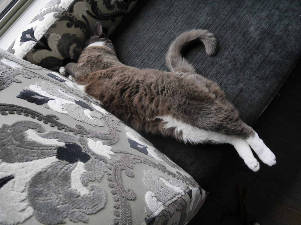 Streeeeetch