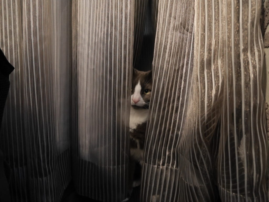 Totally hidden Monty