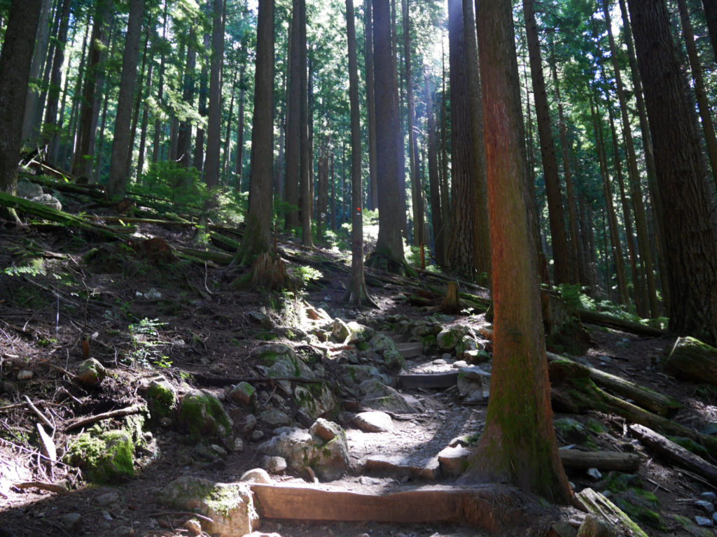 Near the start of the Grouse Grind