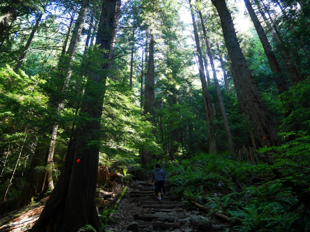 Near the start of the Grouse Grind