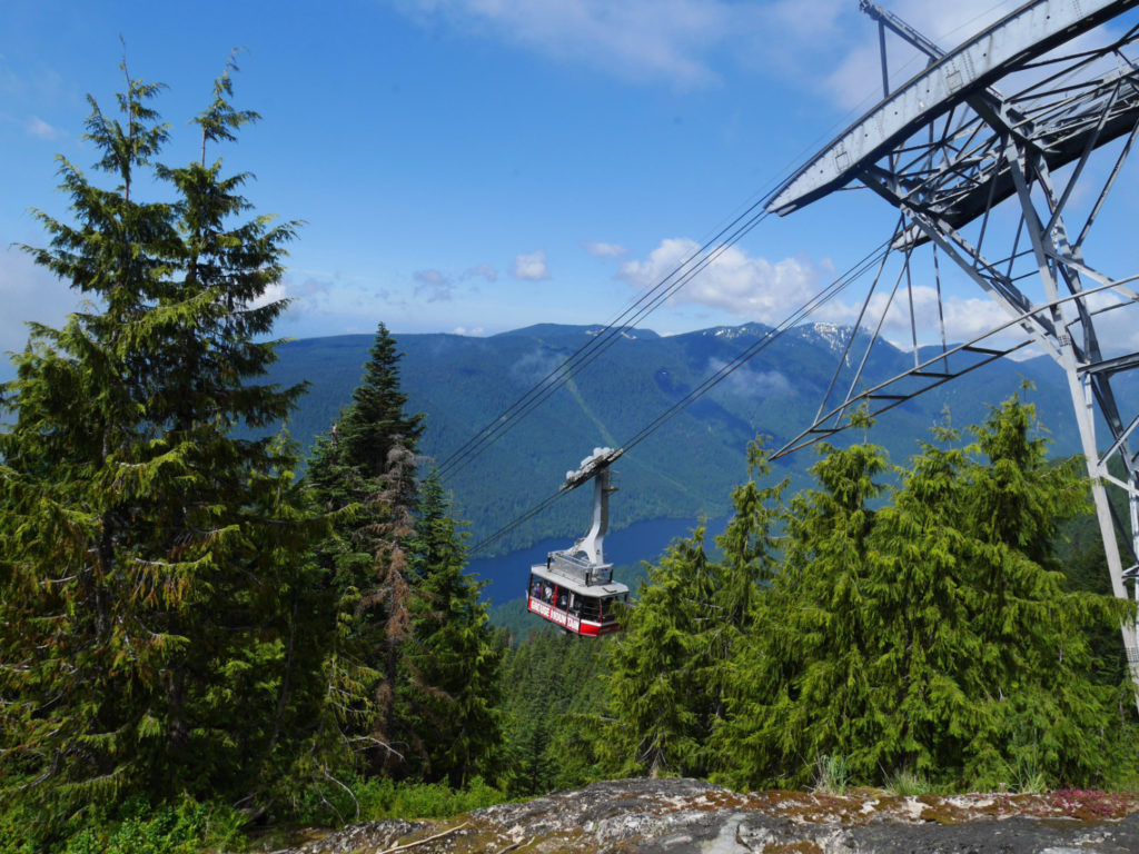 The skyride