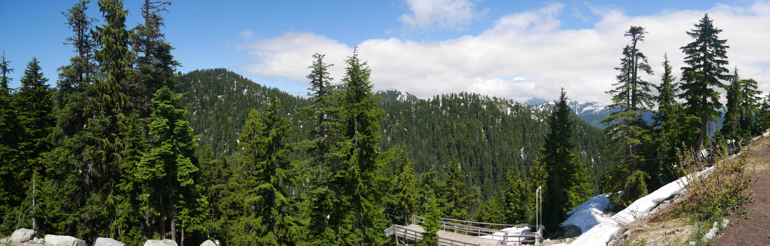 Quieter mountaintop view