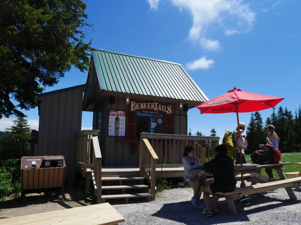 Beavertail stand