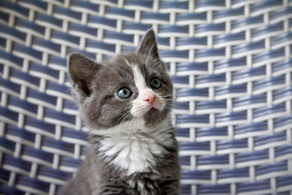 This is baby monty