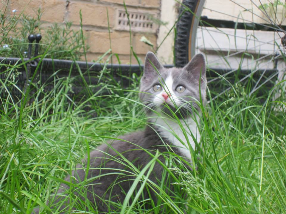 Rawr I'm hunting...