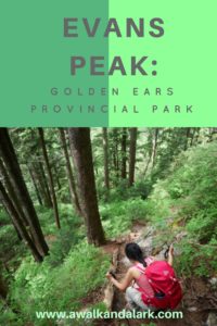 Evans Peak