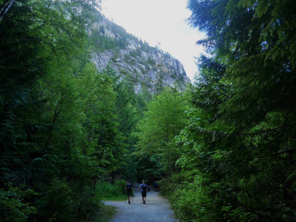 The bottom of the chief