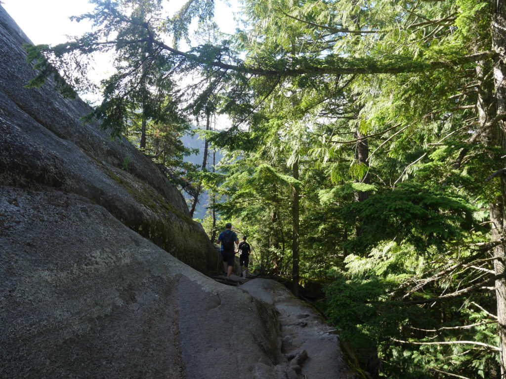 Nearly to the top