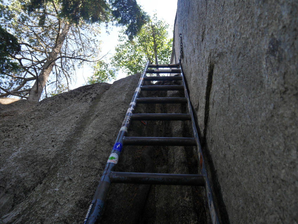 ladder to the top