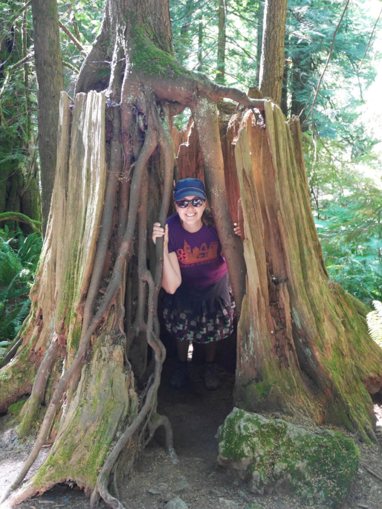Another lovely empty tree trunk