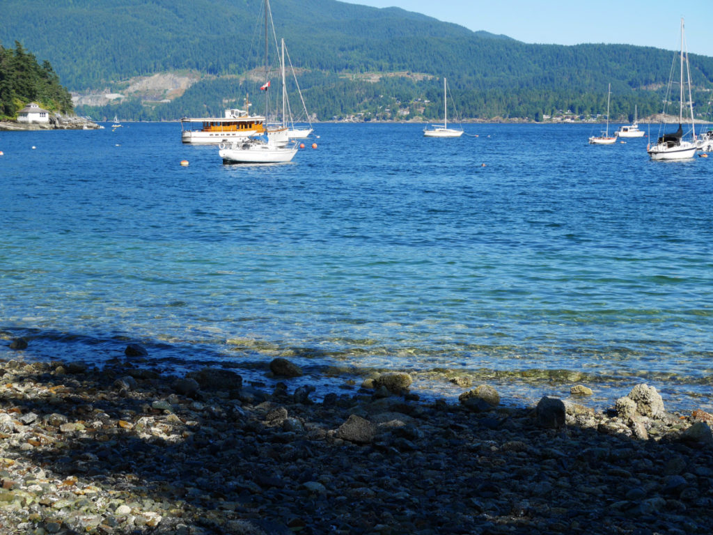 This is where we swam. Blooming barnacles.