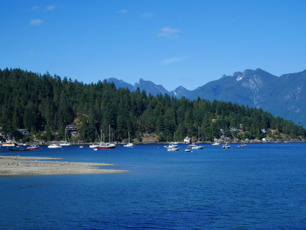 Loved swimming in Snug Cove