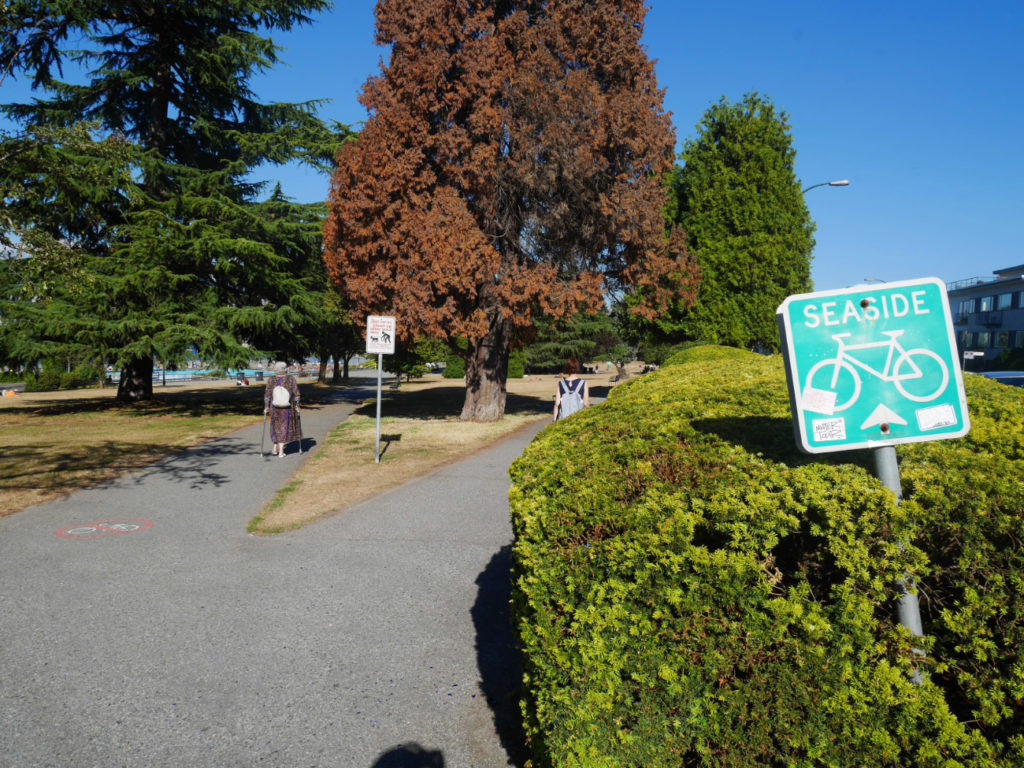 The bike path near Kits