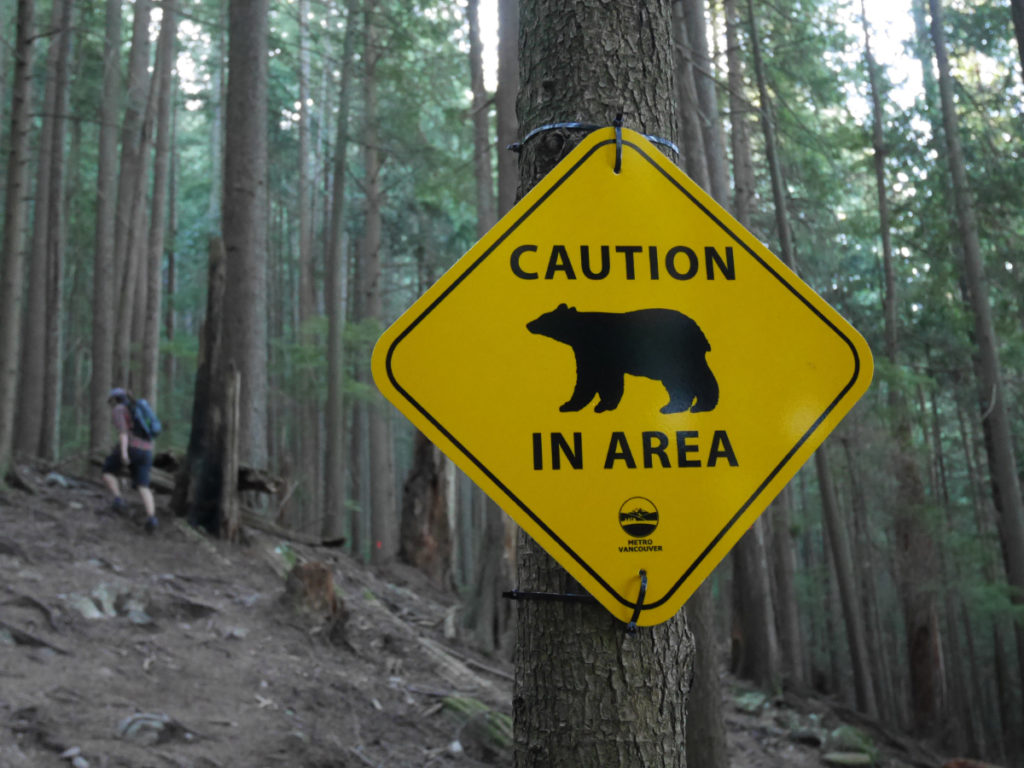 Caution Bear in area!