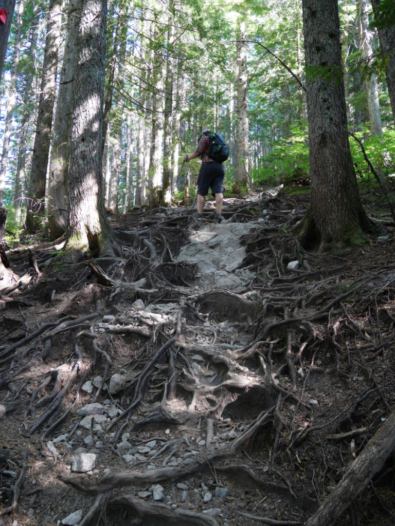 Pretty BCMC trail