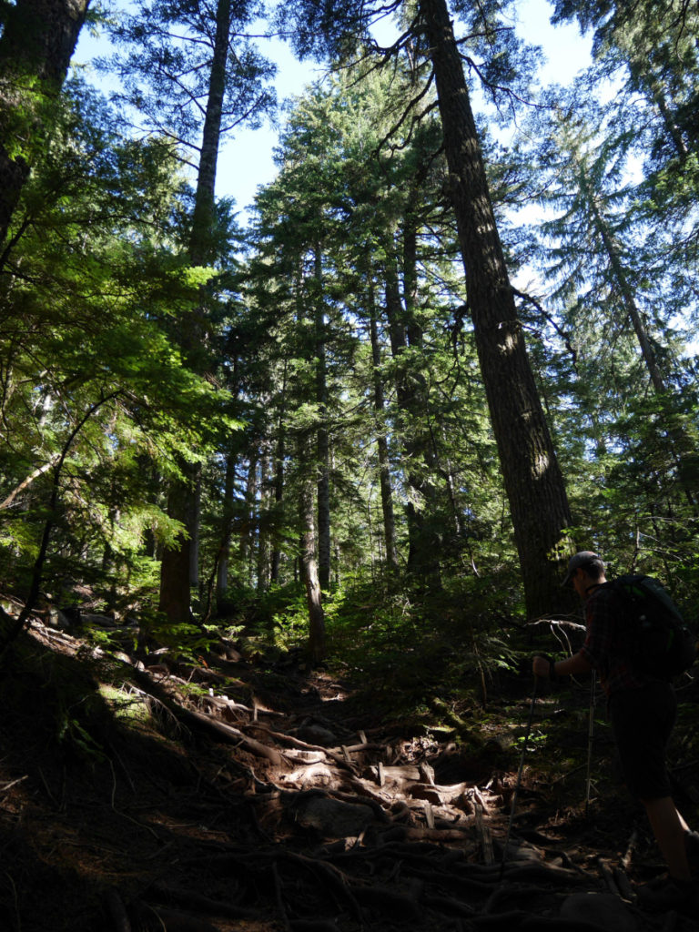 Pretty BCMC trail