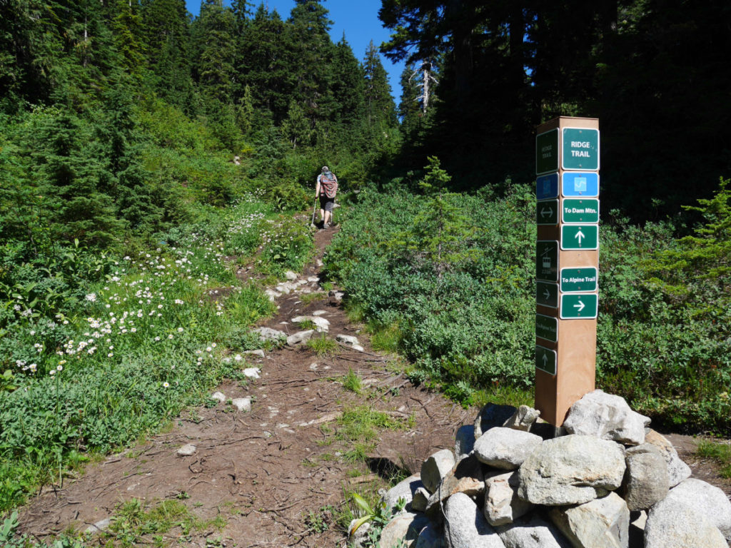 Path to Dam Mountain