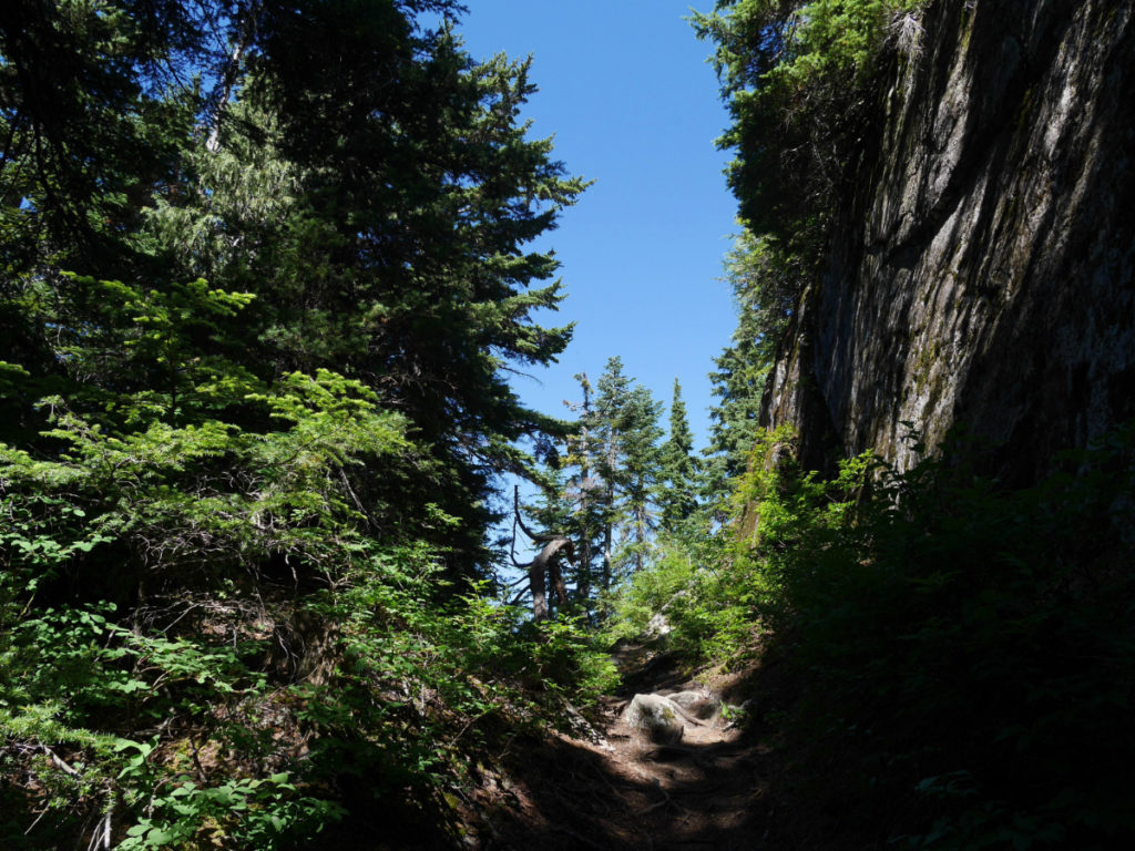 The steep sides of the goat!
