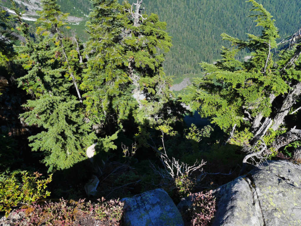 Straight down from Goat Mountain