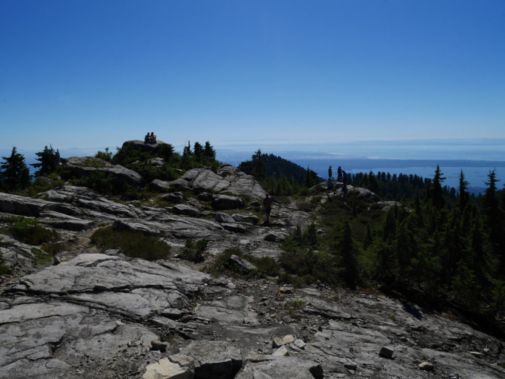 The view South from Goat Mountain