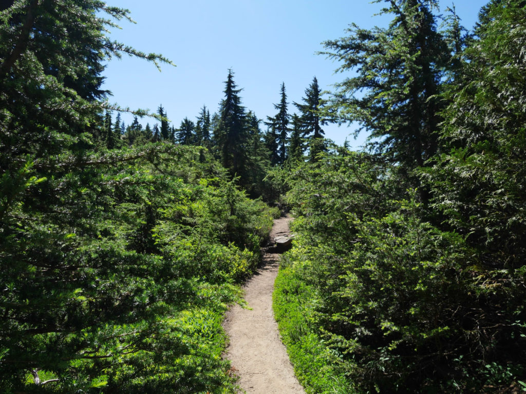 Alpine Trail