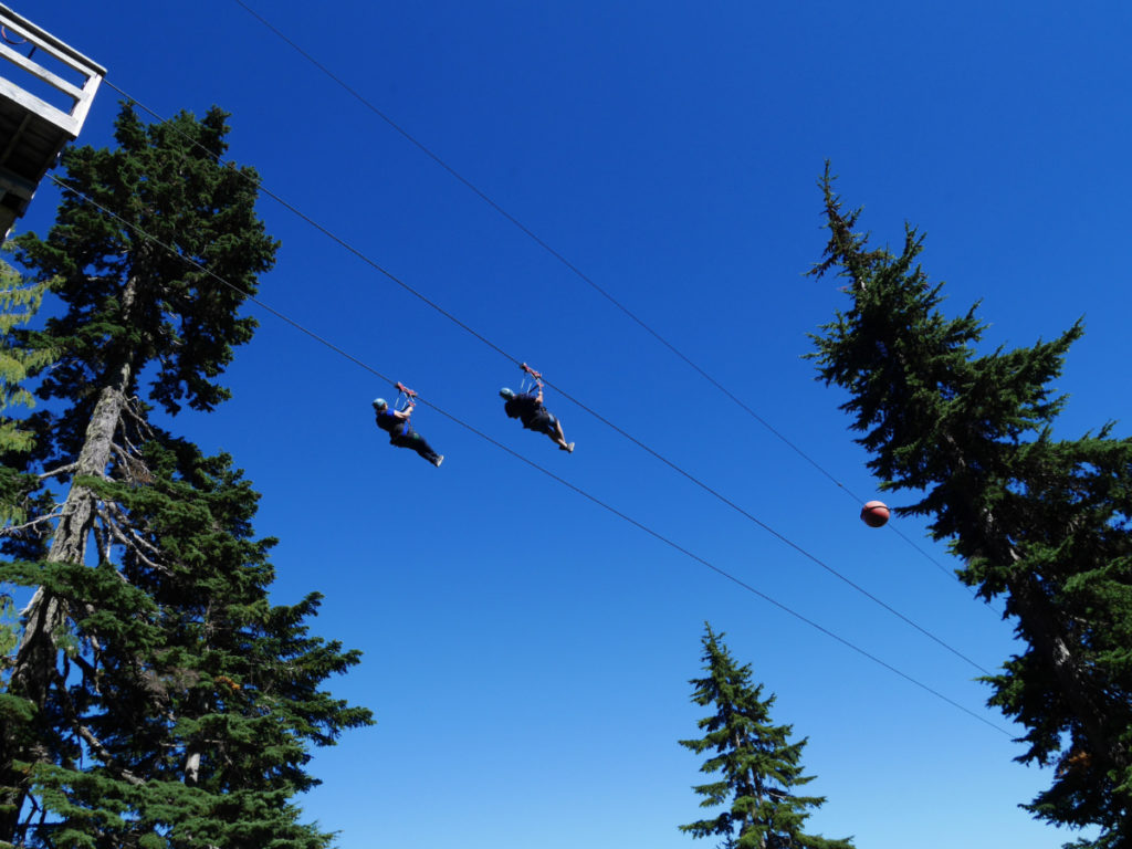 Zip-lines from Grouse