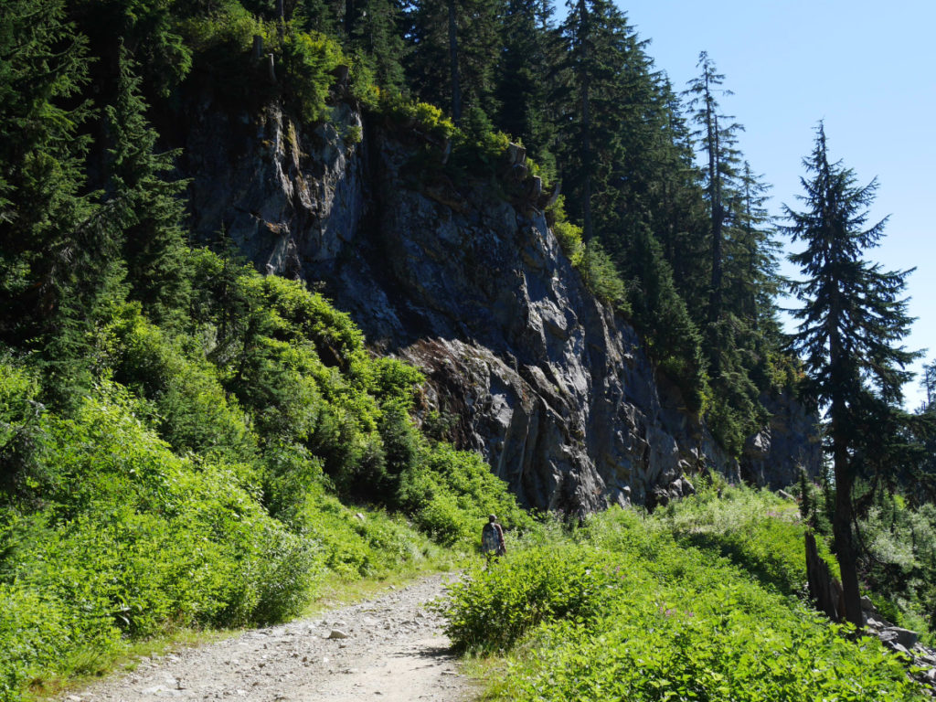 Back to Grouse Mountain