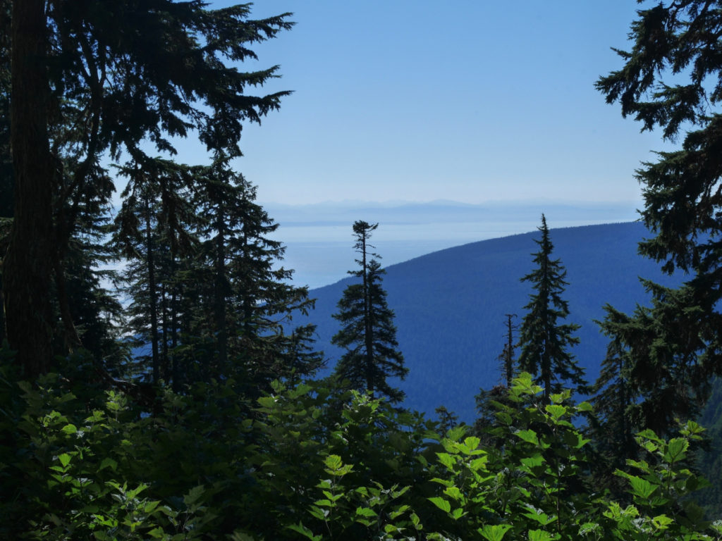 Views from Grouse