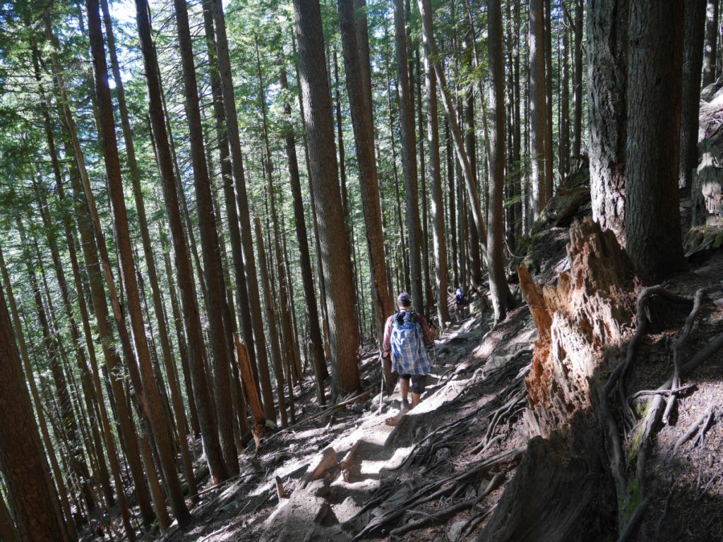 Back onto the BCMC Trail