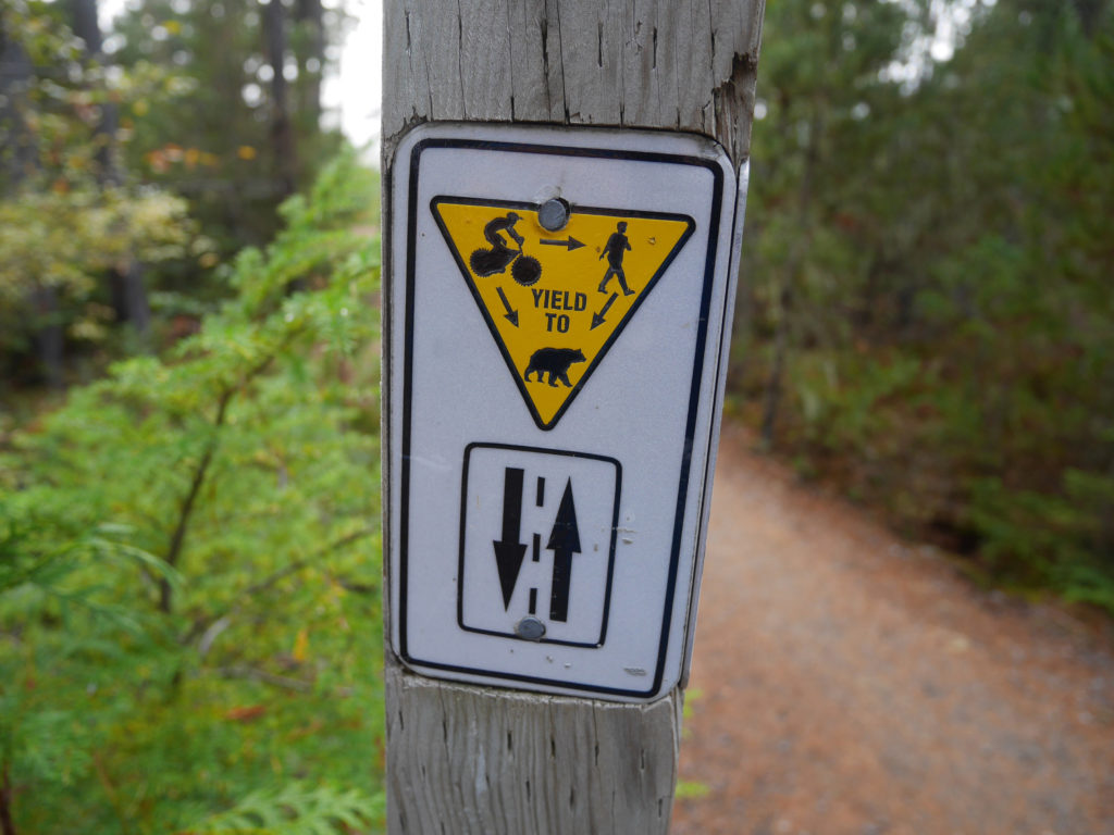 Yield to bears!