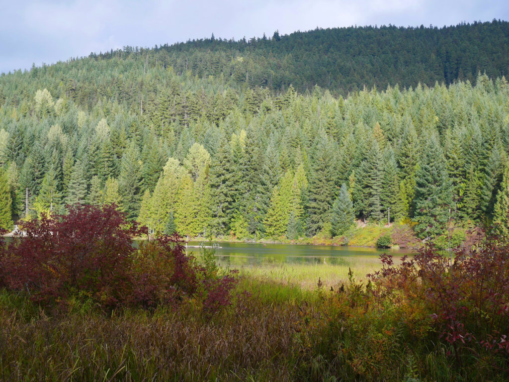 Lost Lake in Whistler