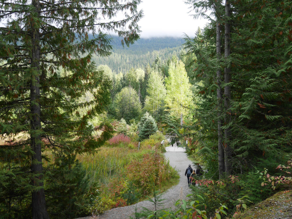The path to Lost lake
