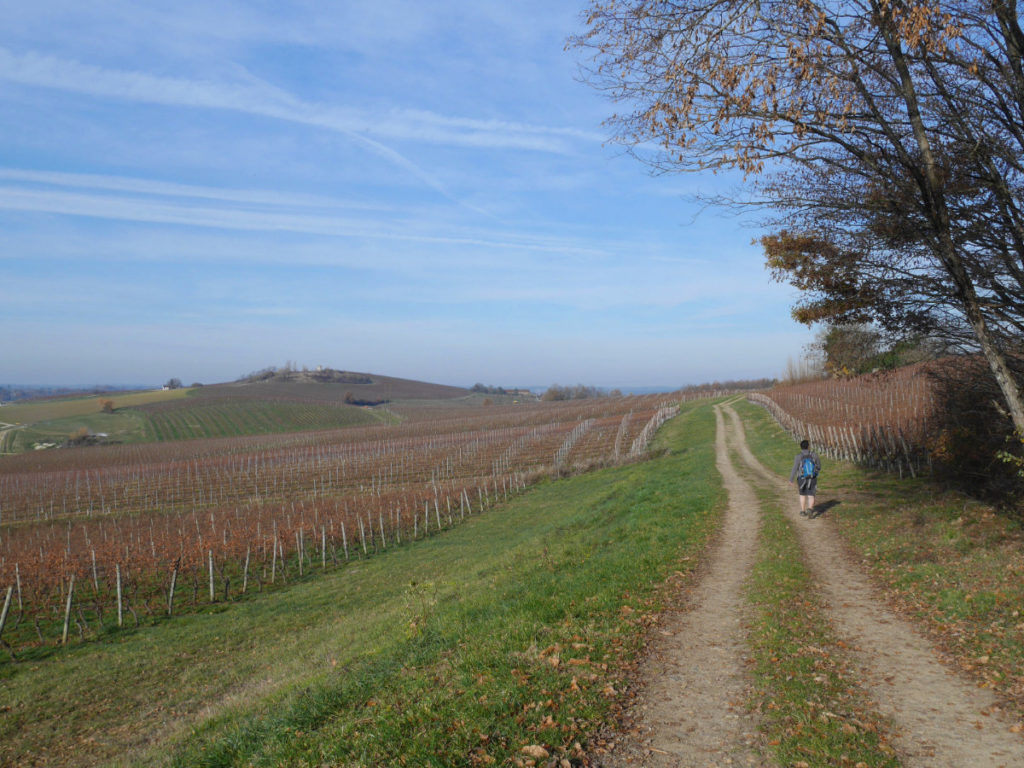 Pretty french countryside and another moulin