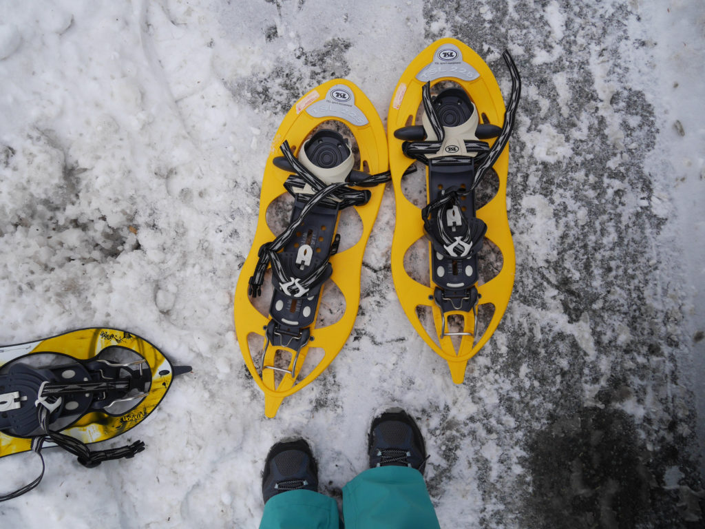 This is what snowshoes look like