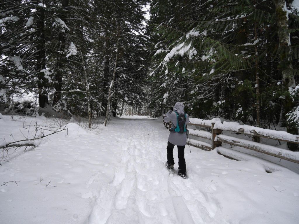 Deep snow near Brandywine Falls