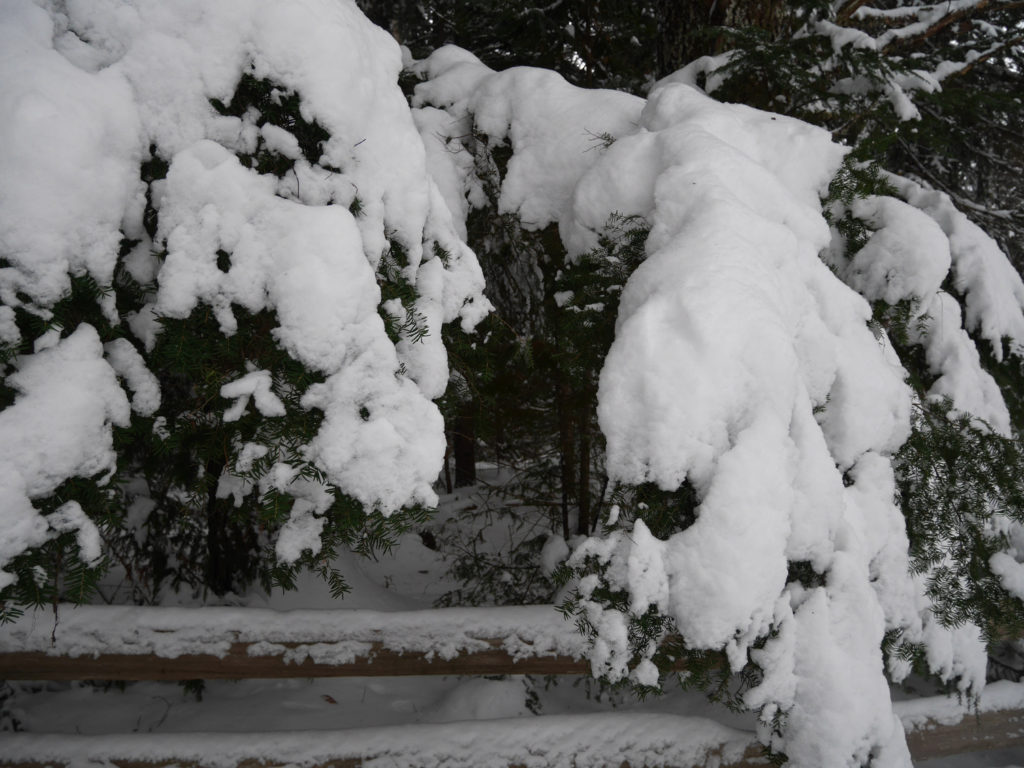 Balancing snow