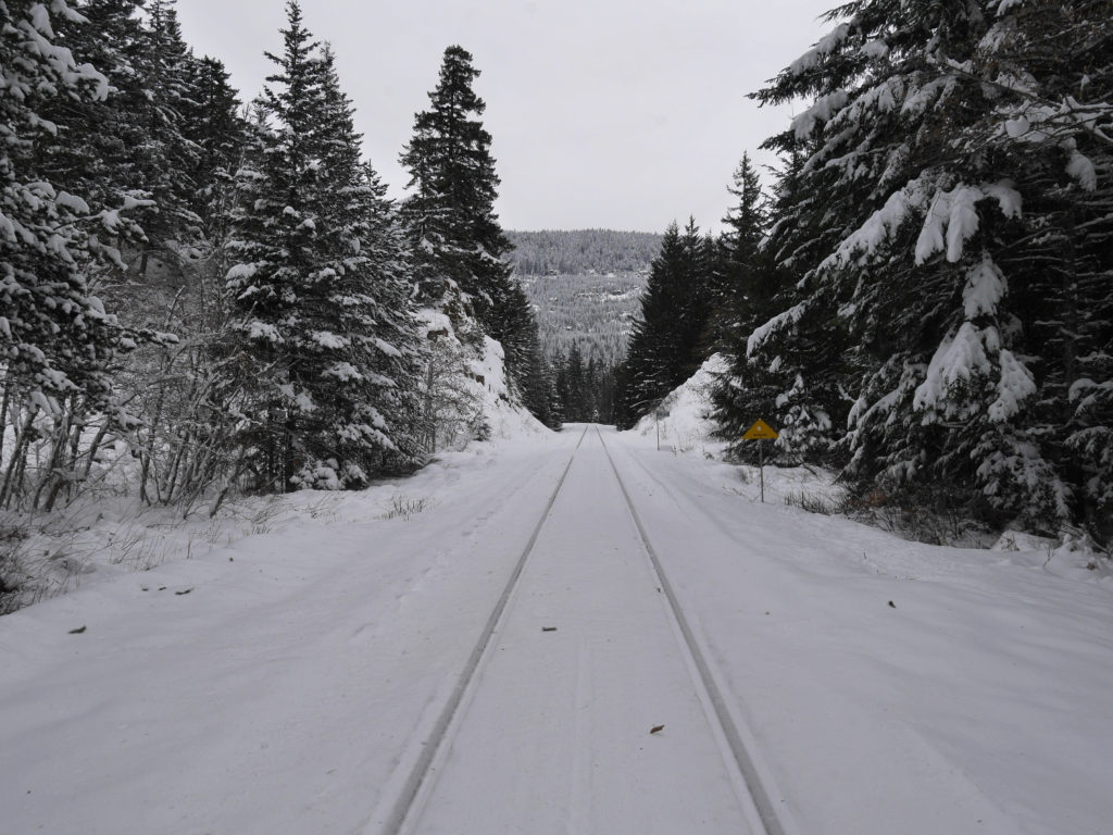 Train line near Brandywine Falls