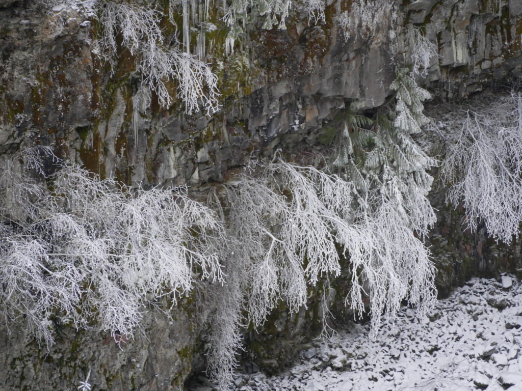 ice-trees by Brandywine Falls