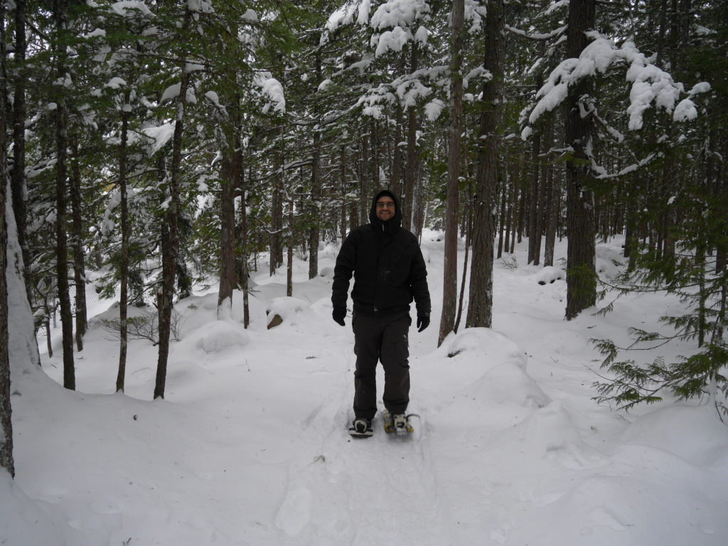 Snowshoe Marc