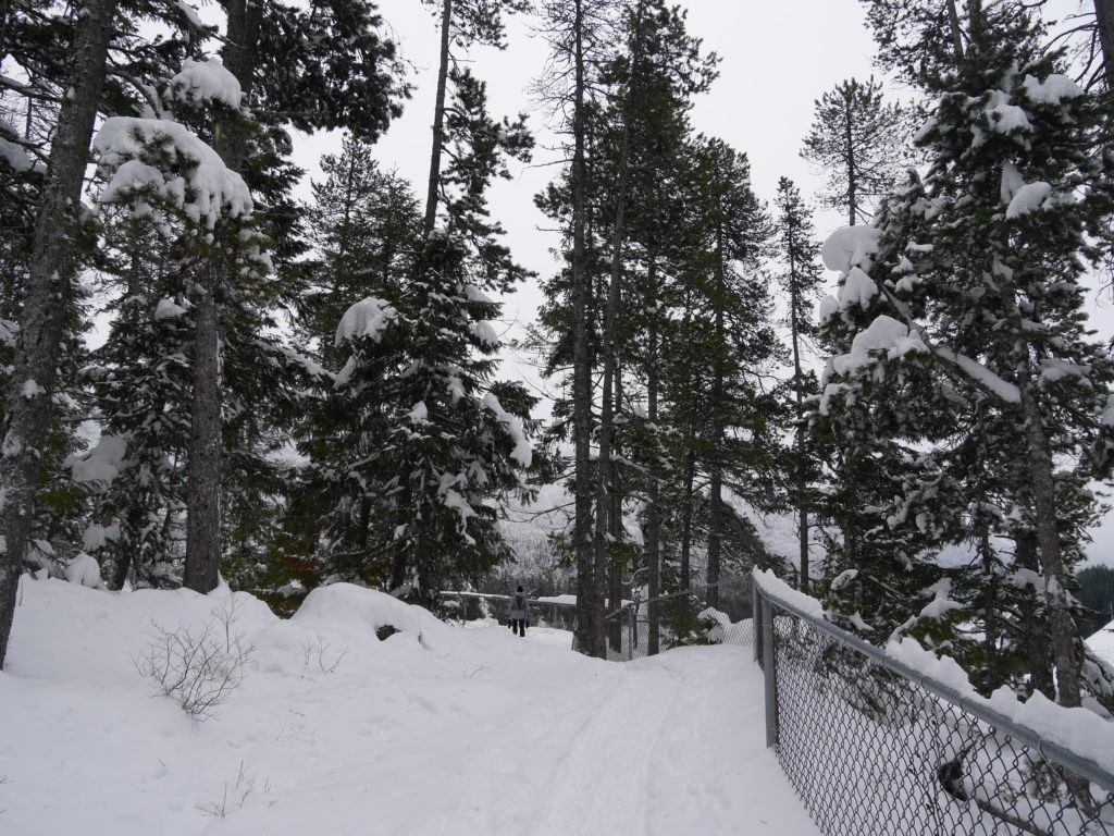 Walk to the canyon