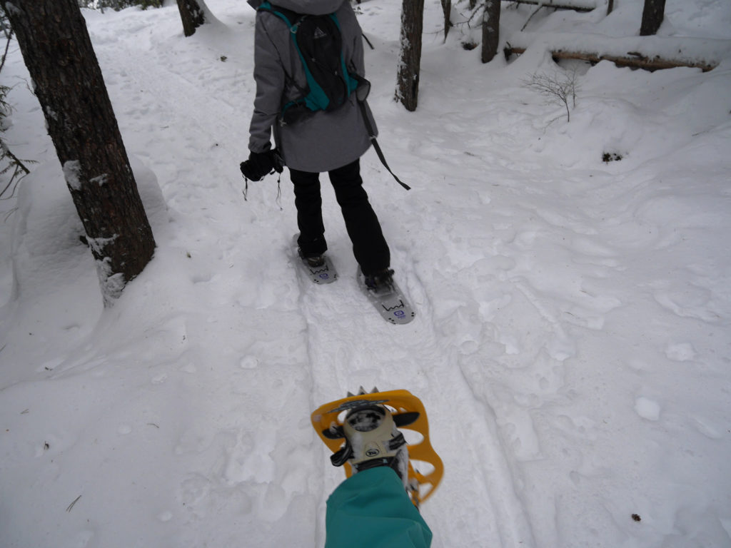 Showing how snowshoes work