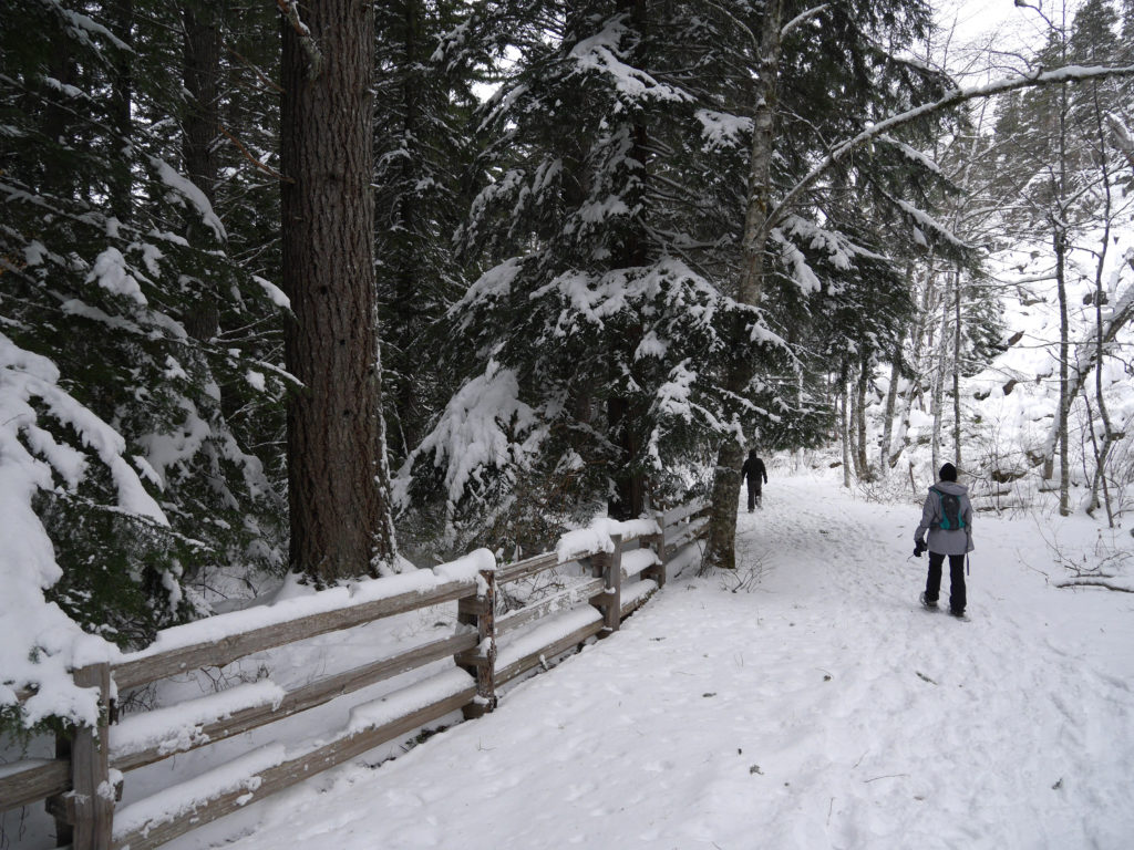 Tegan in the snow