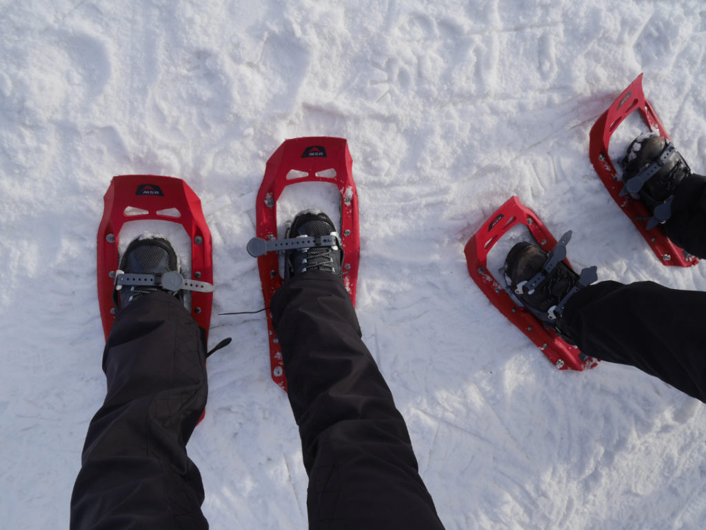 New-style snowshoes