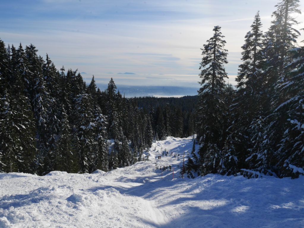 Looking down from Hollyburn Mountain